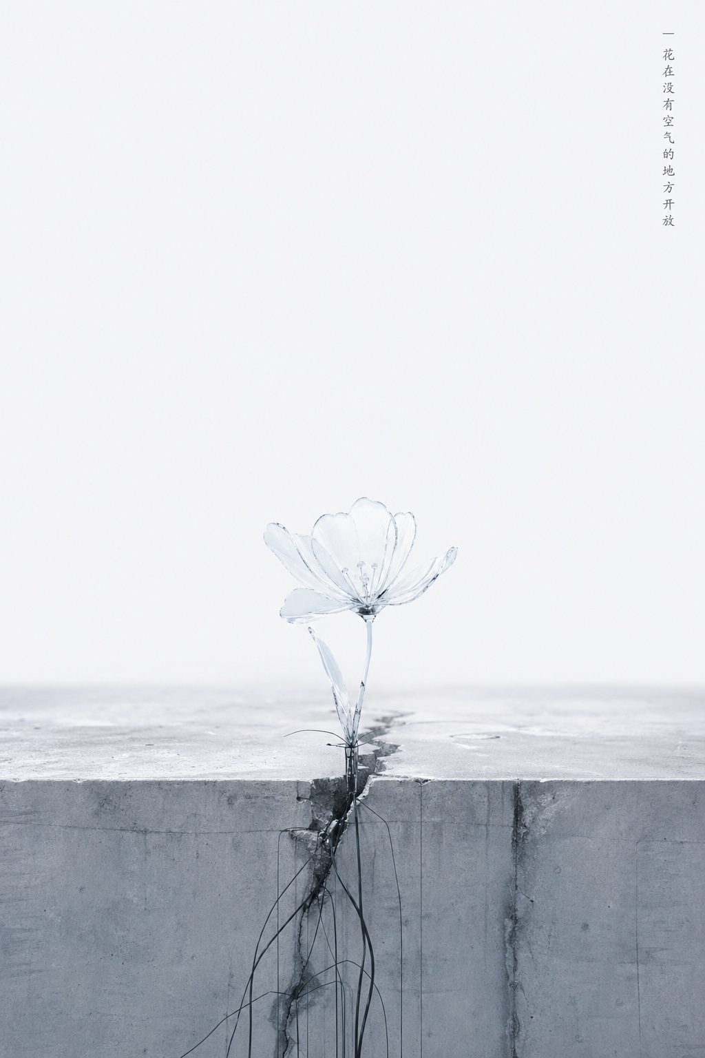 裂隙之花概念海报